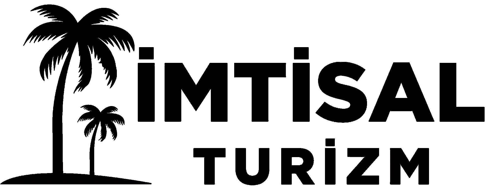 imtisal turizm logo-siyah